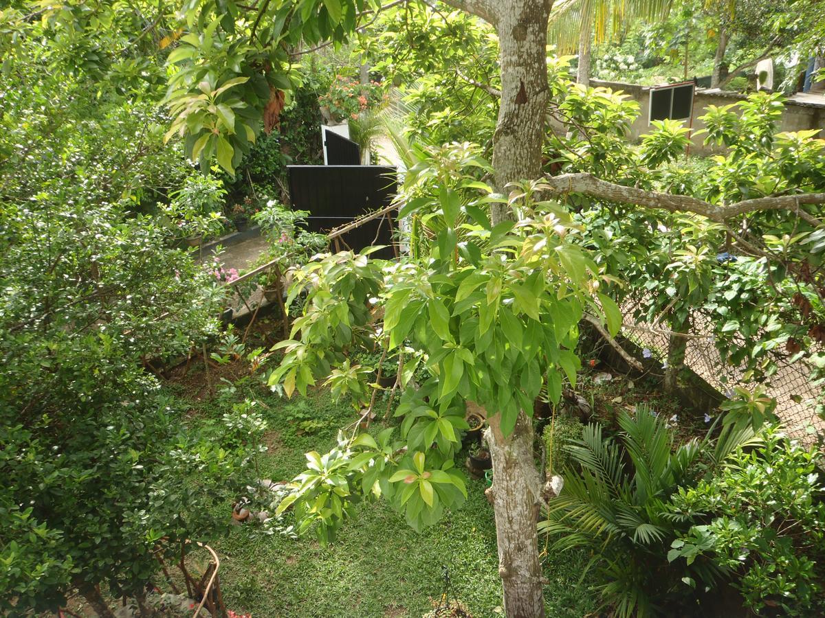 New Jaya Villa Bentota Exterior photo
