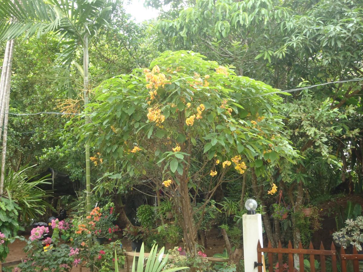 New Jaya Villa Bentota Exterior photo